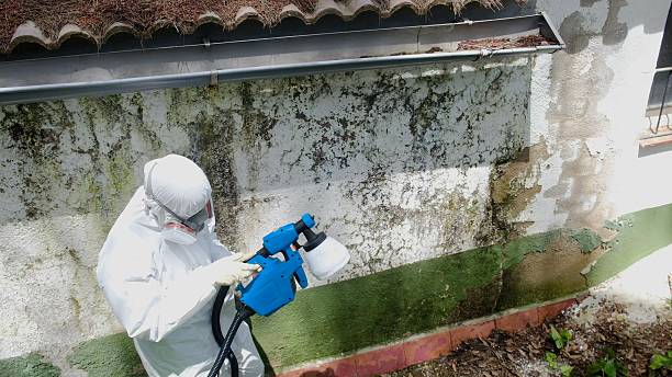 Top rated local Commercial Mold Remediation specialists in Westwood, NJ